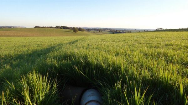 Comment détecter les fuites de canalisation enterrée en Gironde