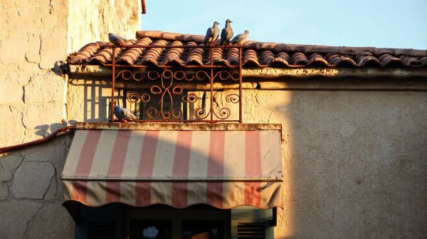 Top 5 conseils pour engager un couvreur à Antibes